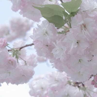 Furry插画创意构思福瑞交流群