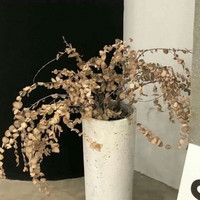 Furry插画故事感设计FurryQQ群